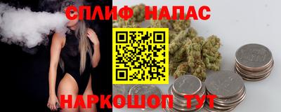 сатива Усть-Джегута