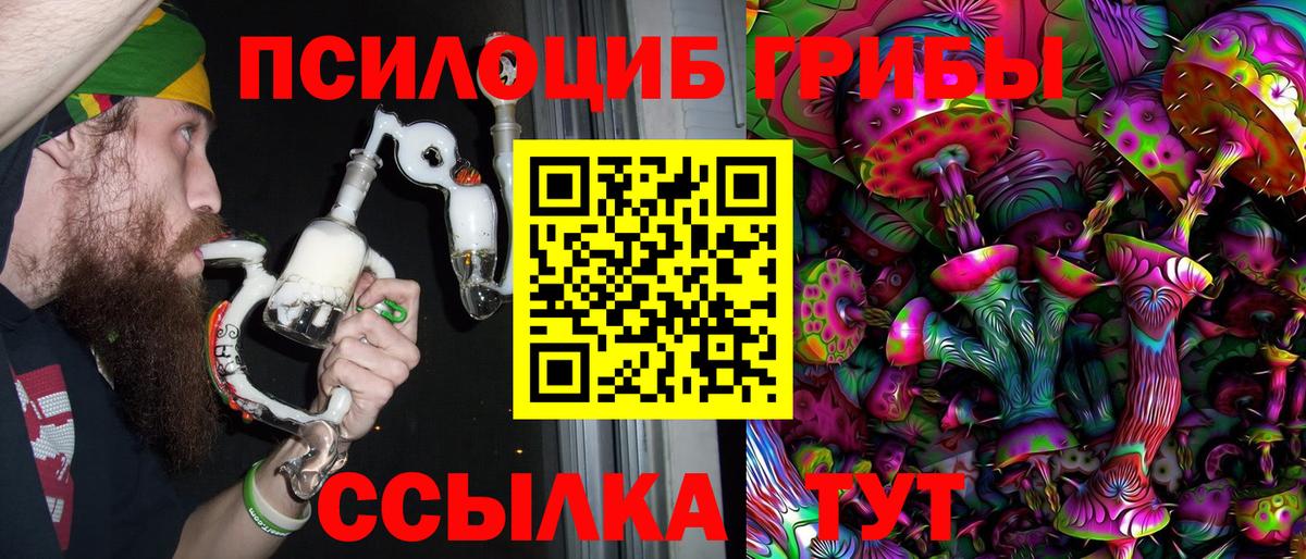 Чехов  Псилоцибиновые грибы мицелий  Вход с VPN 